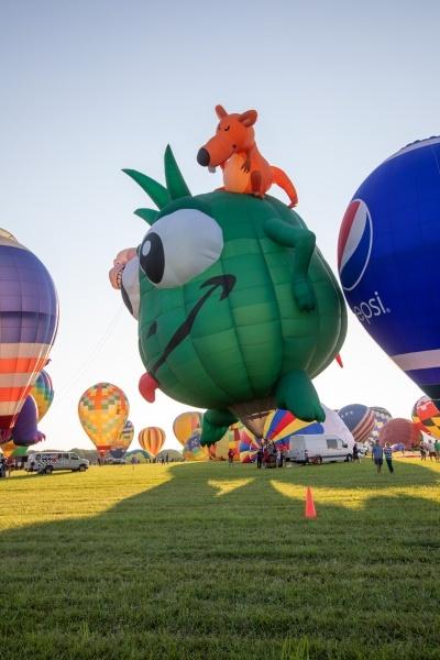 NJ Balloon Fest 
